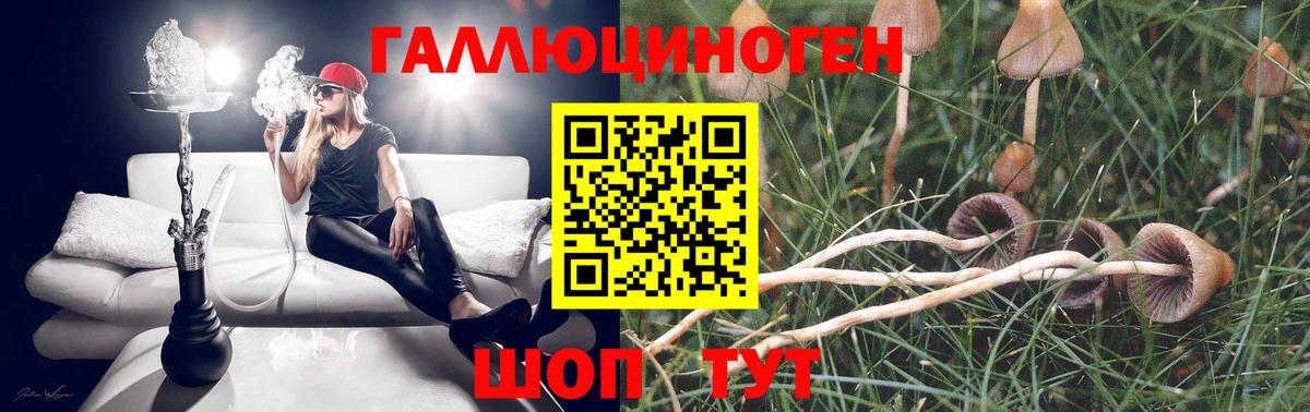 Псилоцибиновые грибы Cubensis Ангарск